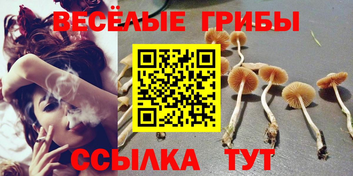 Псилоцибиновые грибы MAGIC MUSHROOMS  Вход с VPN  Клин 