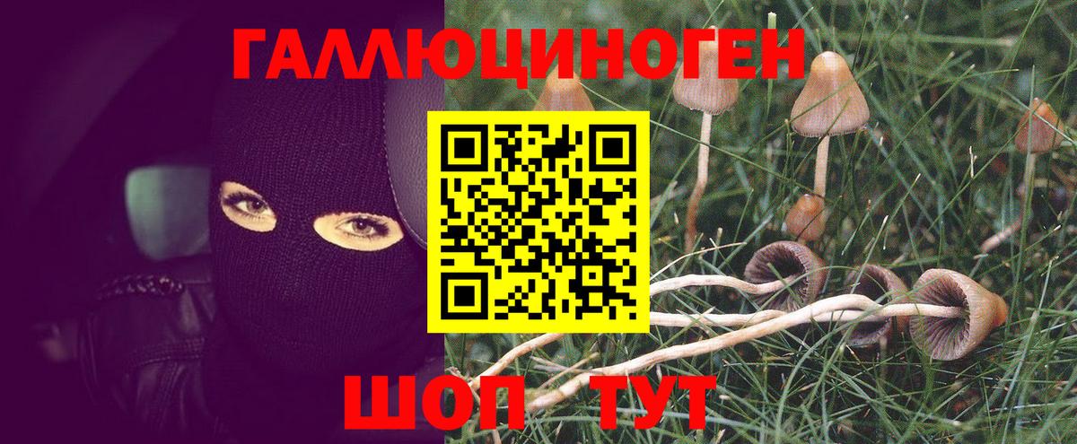 Галлюциногенные грибы MAGIC MUSHROOMS Клин